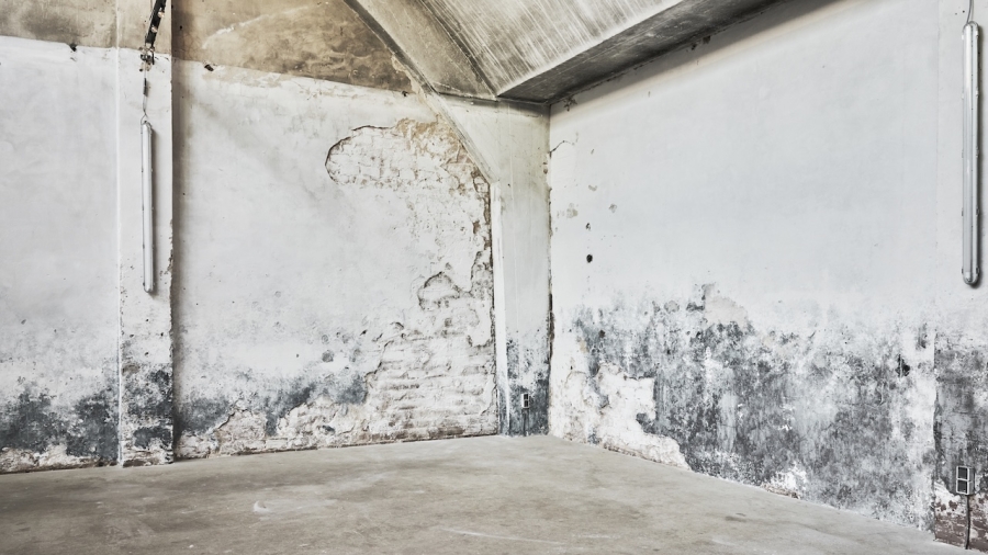 Locatie 1500 - Industrieel nabij Amsterdam