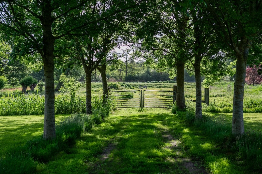 Locatie 1010 - Villa Nederhorst den Berg